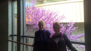 B&D Half Apr 2016 (10)