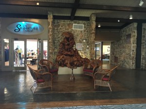 B&D Half Apr 2016 (16)