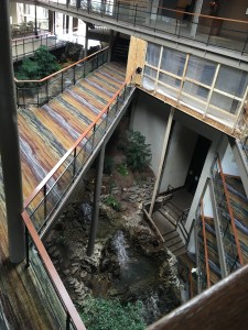 B&D Half Apr 2016 (3)