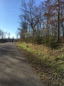 B&D Half Apr 2016 (32)