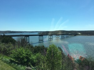 B&D Half Apr 2016 (39)