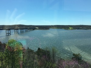 B&D Half Apr 2016 (40)