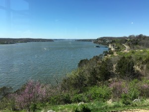 B&D Half Apr 2016 (41)