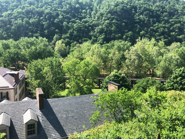 Sunday Sight Seeing (7)