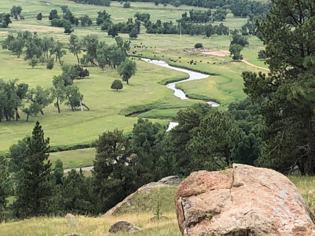 Devils Tower Hike (17)