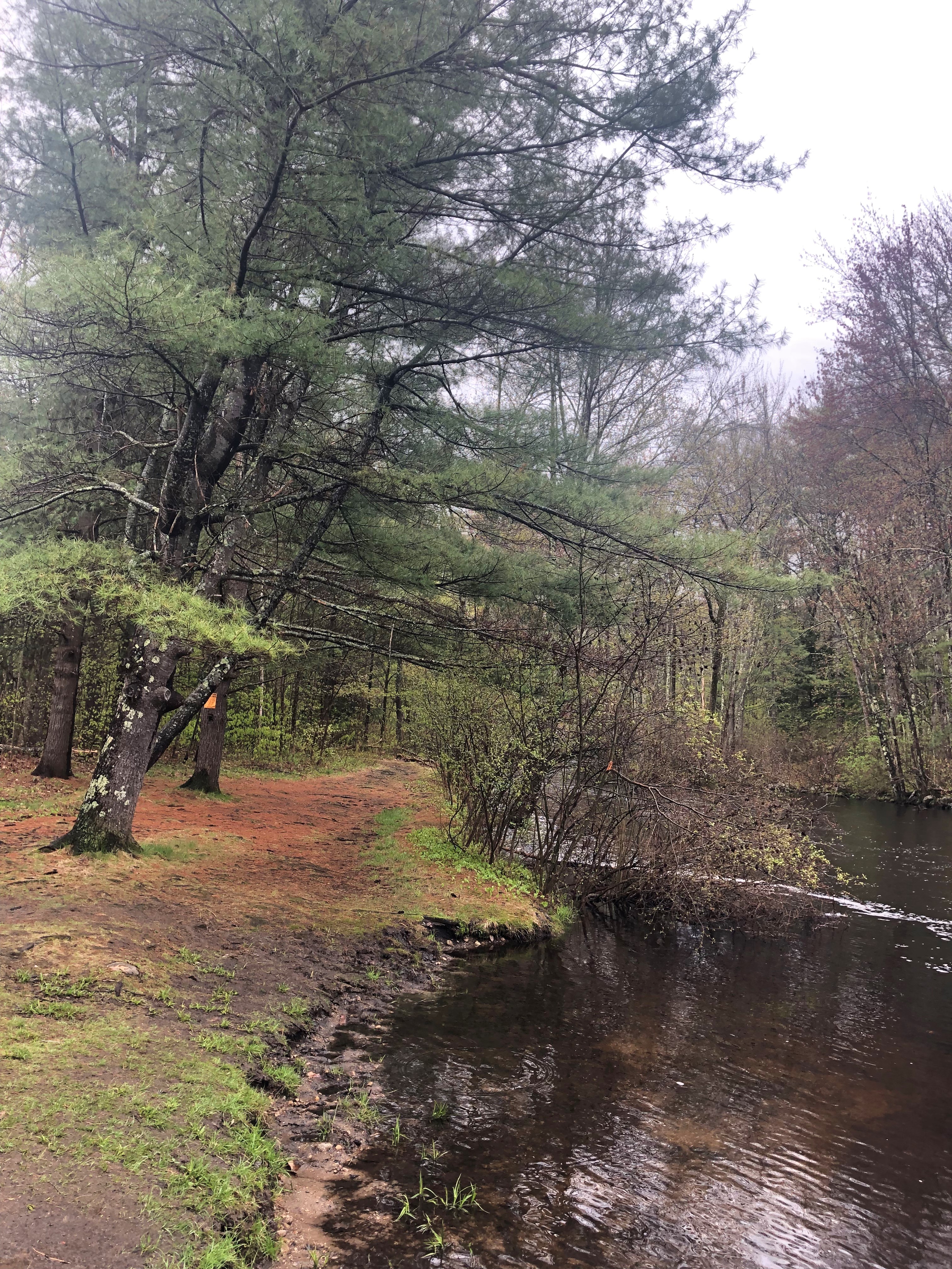 Exploring the Race Course (2)