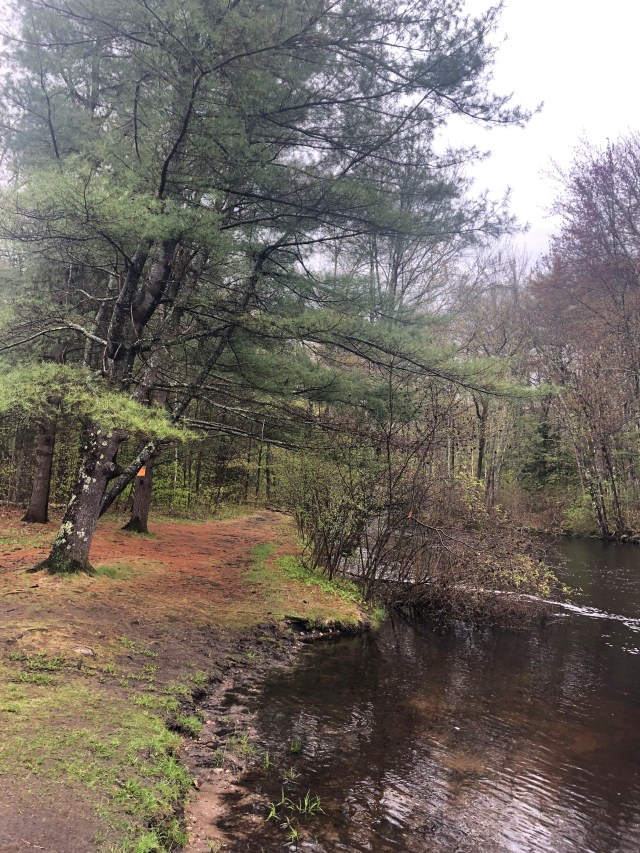 Exploring the Race Course (2)