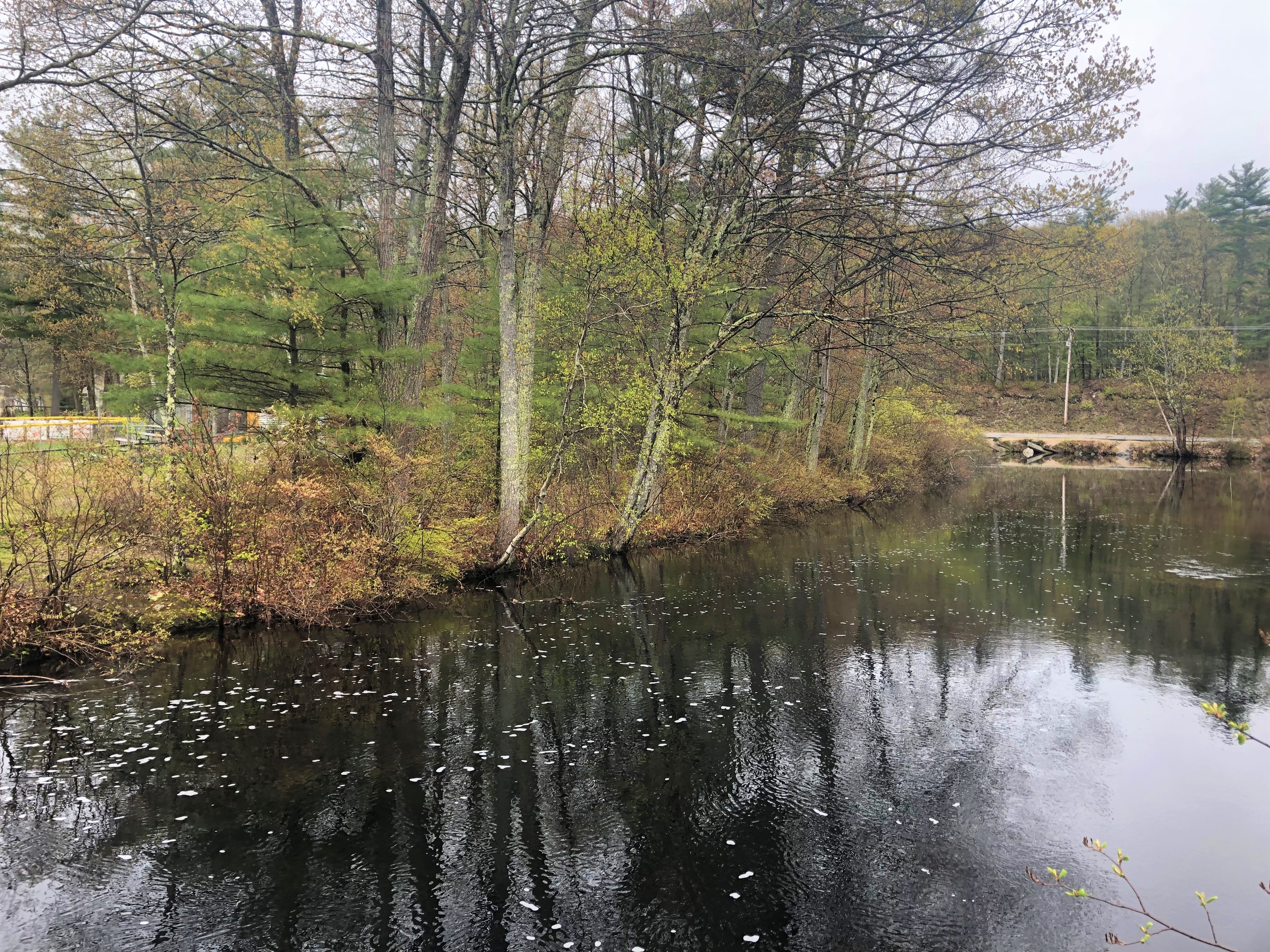 Exploring the Race Course (4)