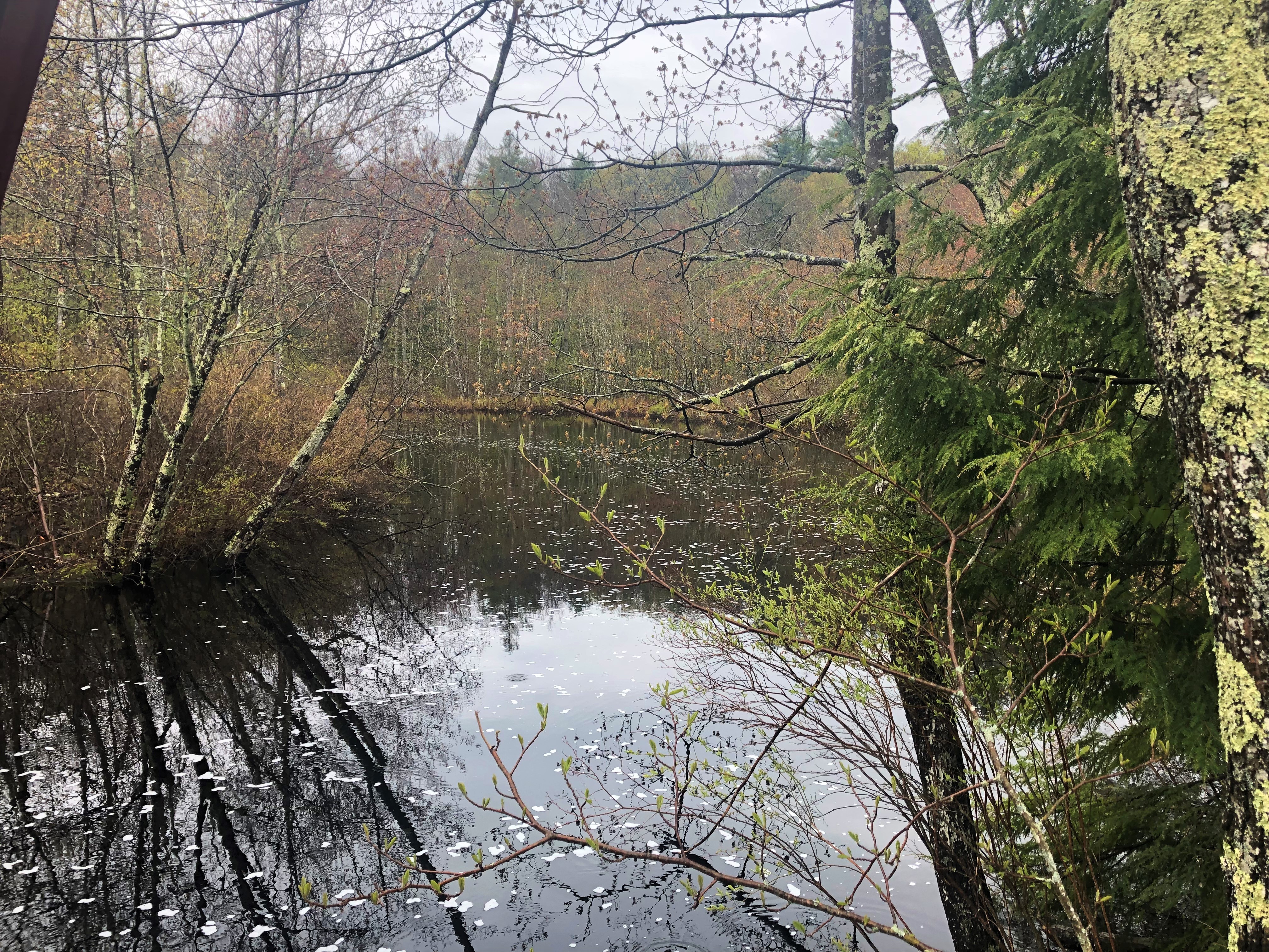 Exploring the Race Course (7)