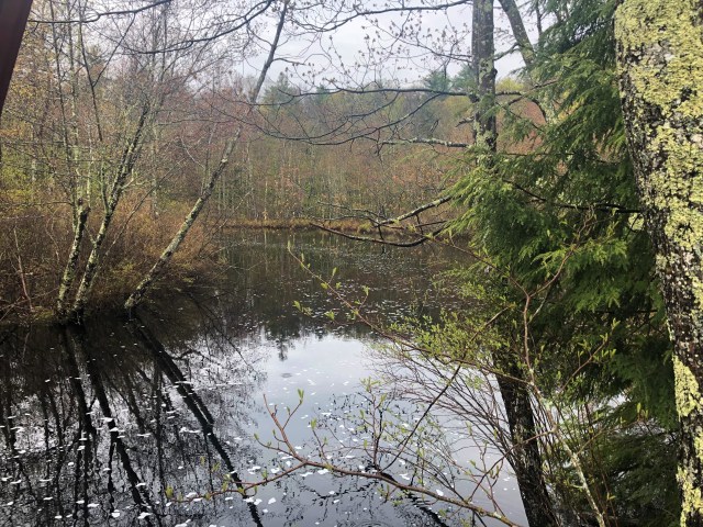 Exploring the Race Course (7)