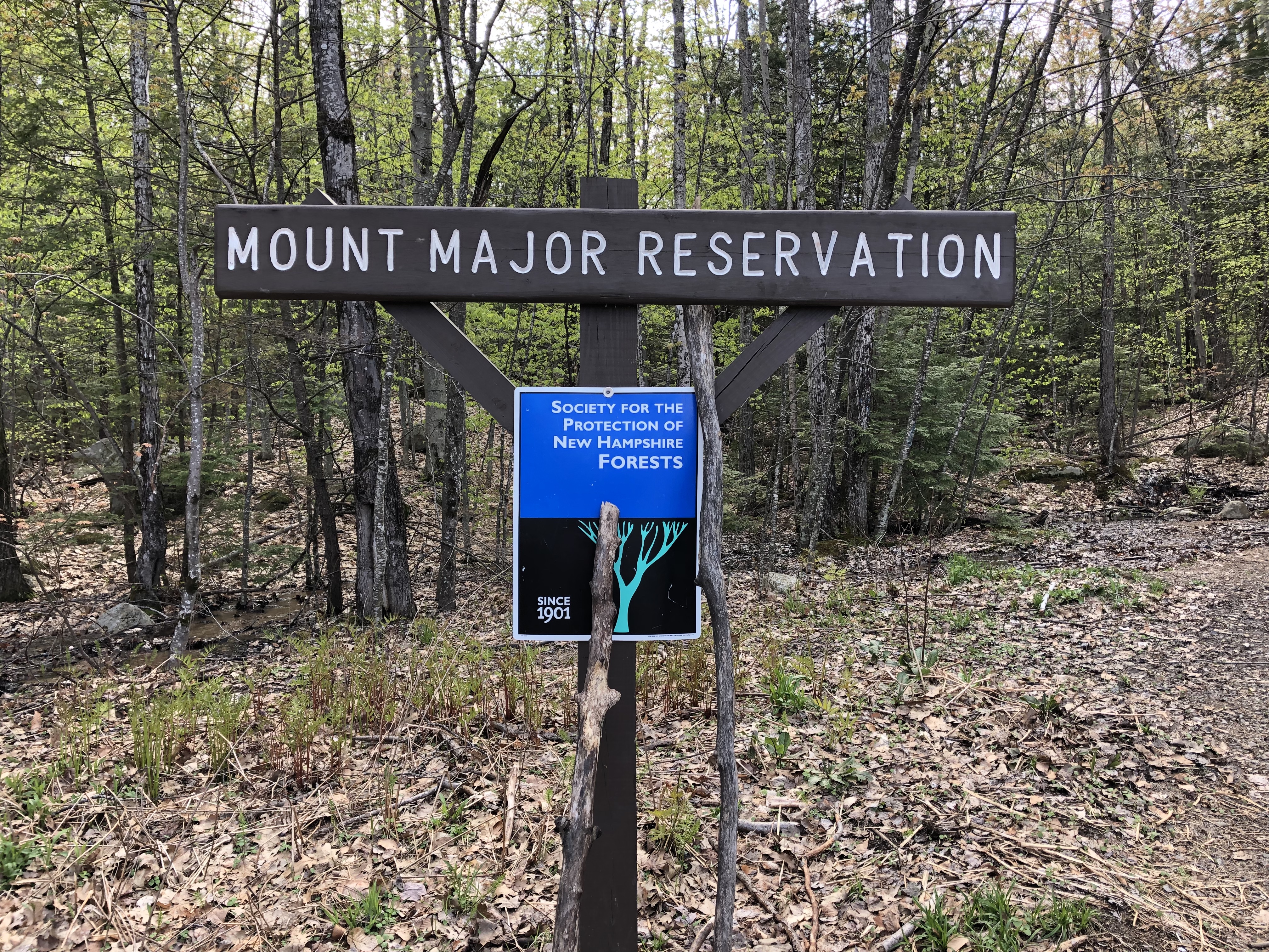 Hiking Mt Major (11)