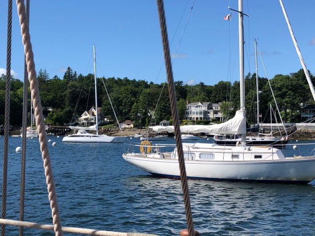 Sailing in Rockport Harbor (10)