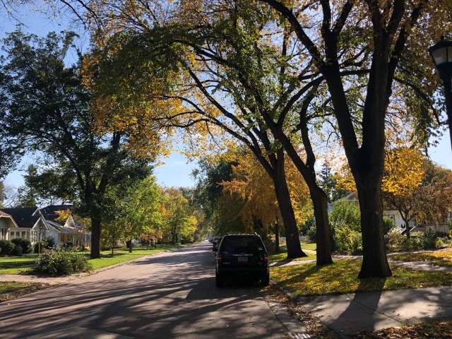 Elm Street Fargo (1)