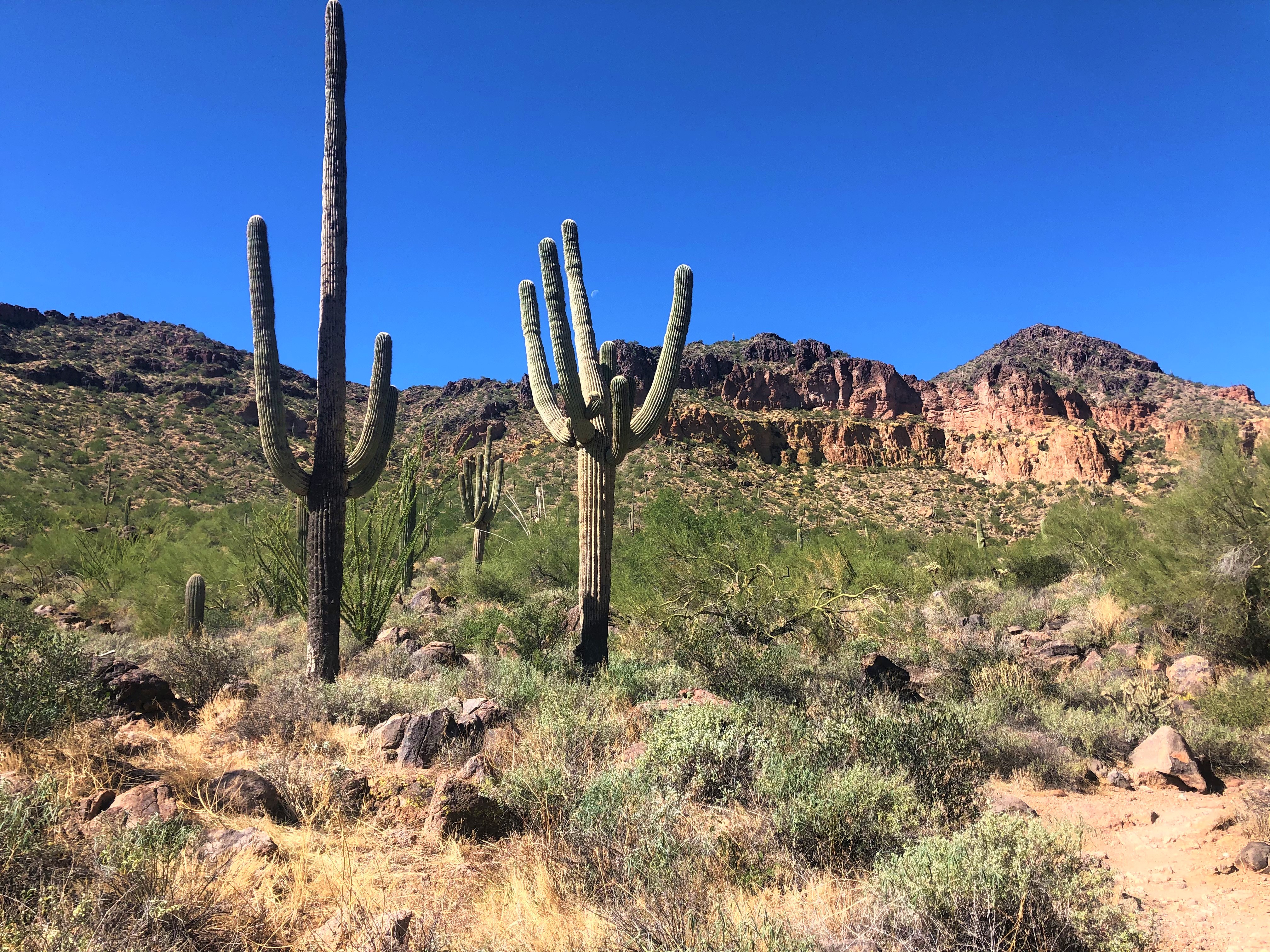 Pass Mountain with Melodie (3)