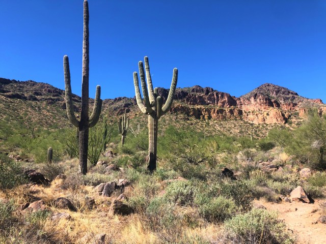 Pass Mountain with Melodie (3)