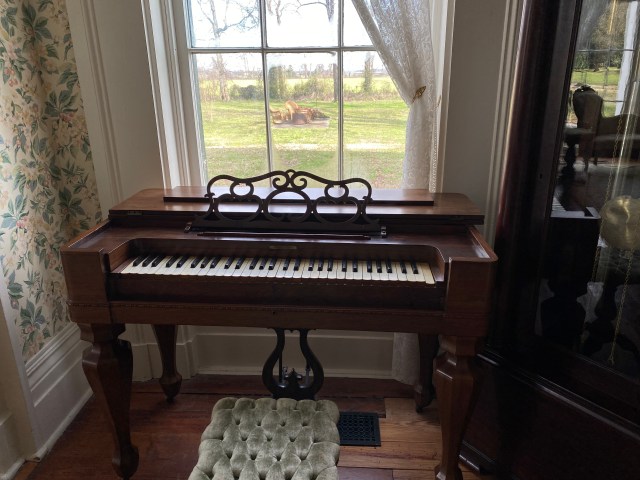 Belmont Plantation (6)