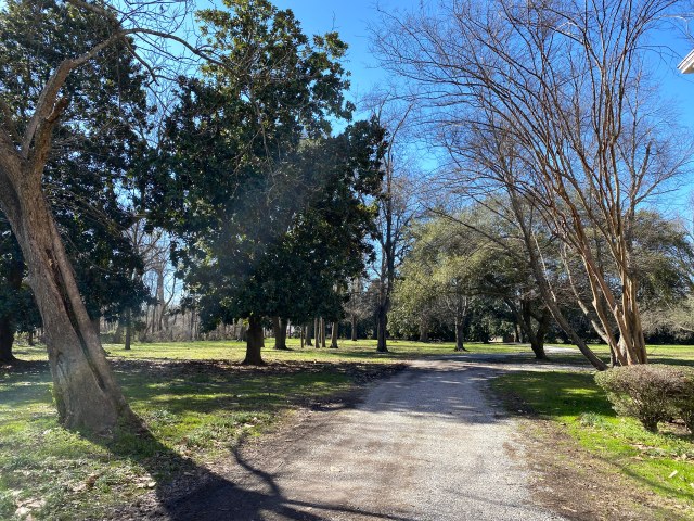 Belmont Plantation Grounds (5)