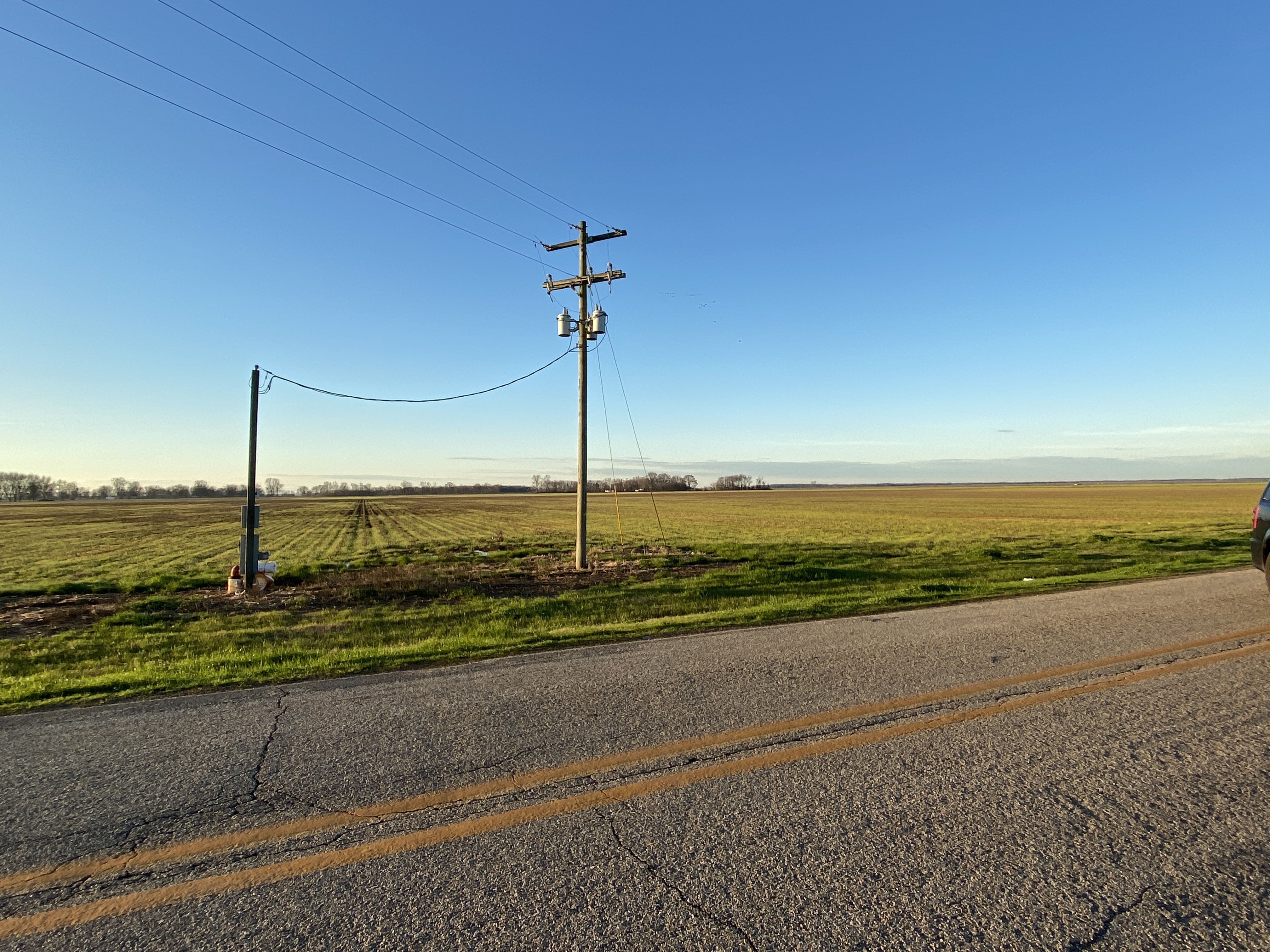 Pre-Race Morning (6)