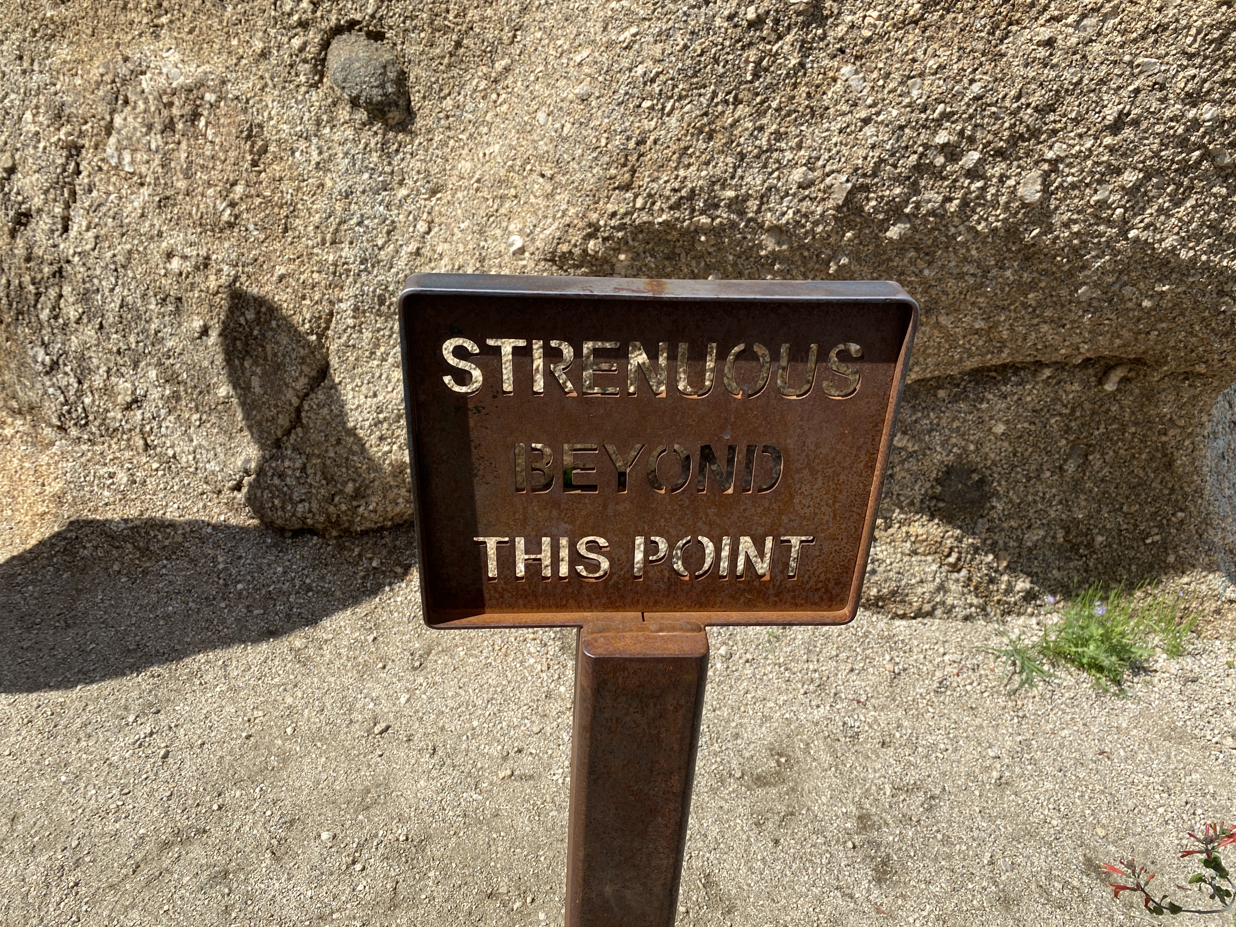 Pinnacle Peak Hike (8)