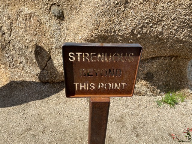 Pinnacle Peak Hike (8)